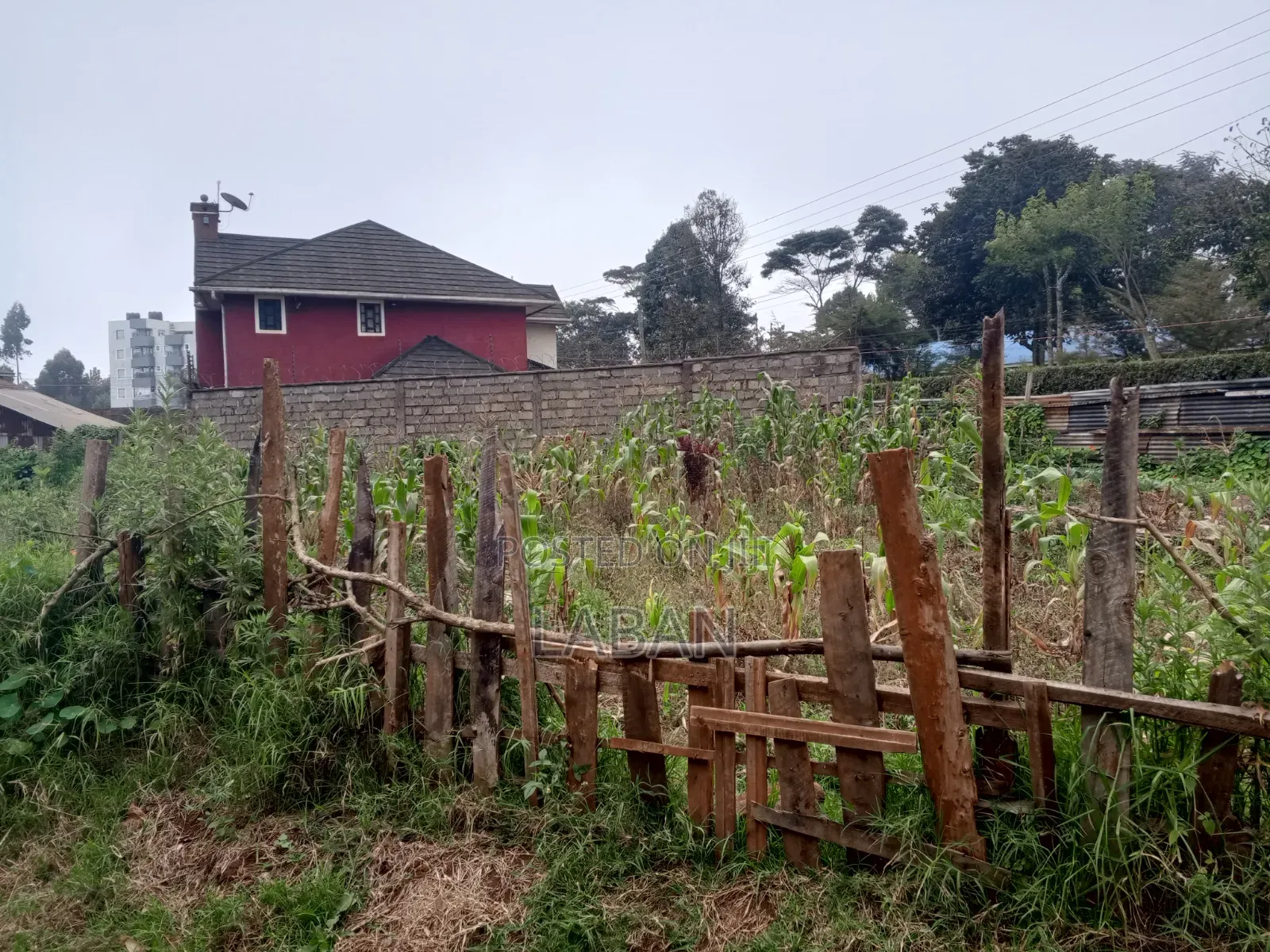 Limuru Manguo,1/4acre