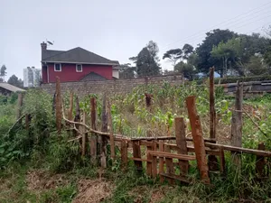 Limuru Manguo,1/4acre