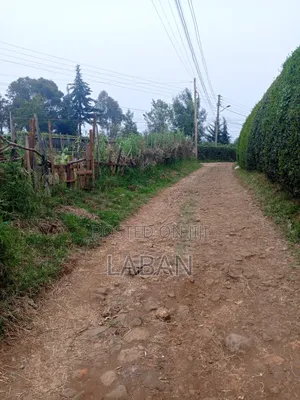 Limuru Manguo,1/4acre
