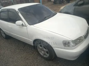 Toyota Corolla 1998 White