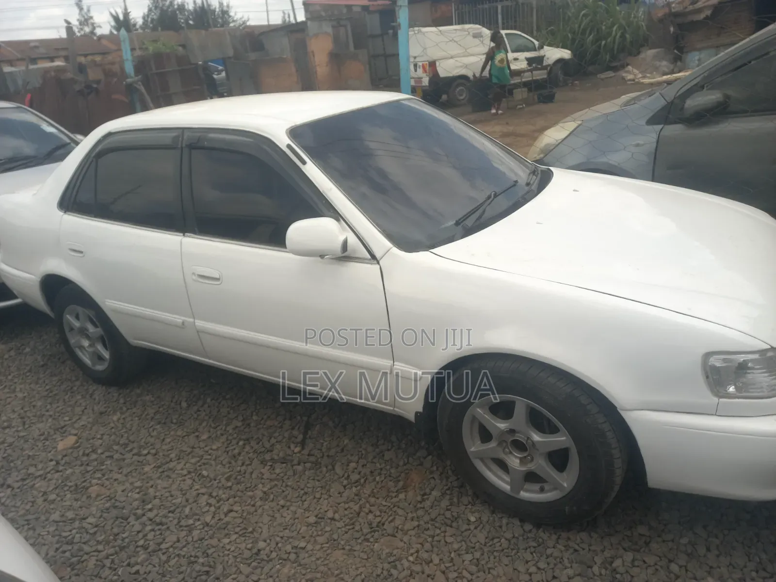 Toyota Corolla 1998 White