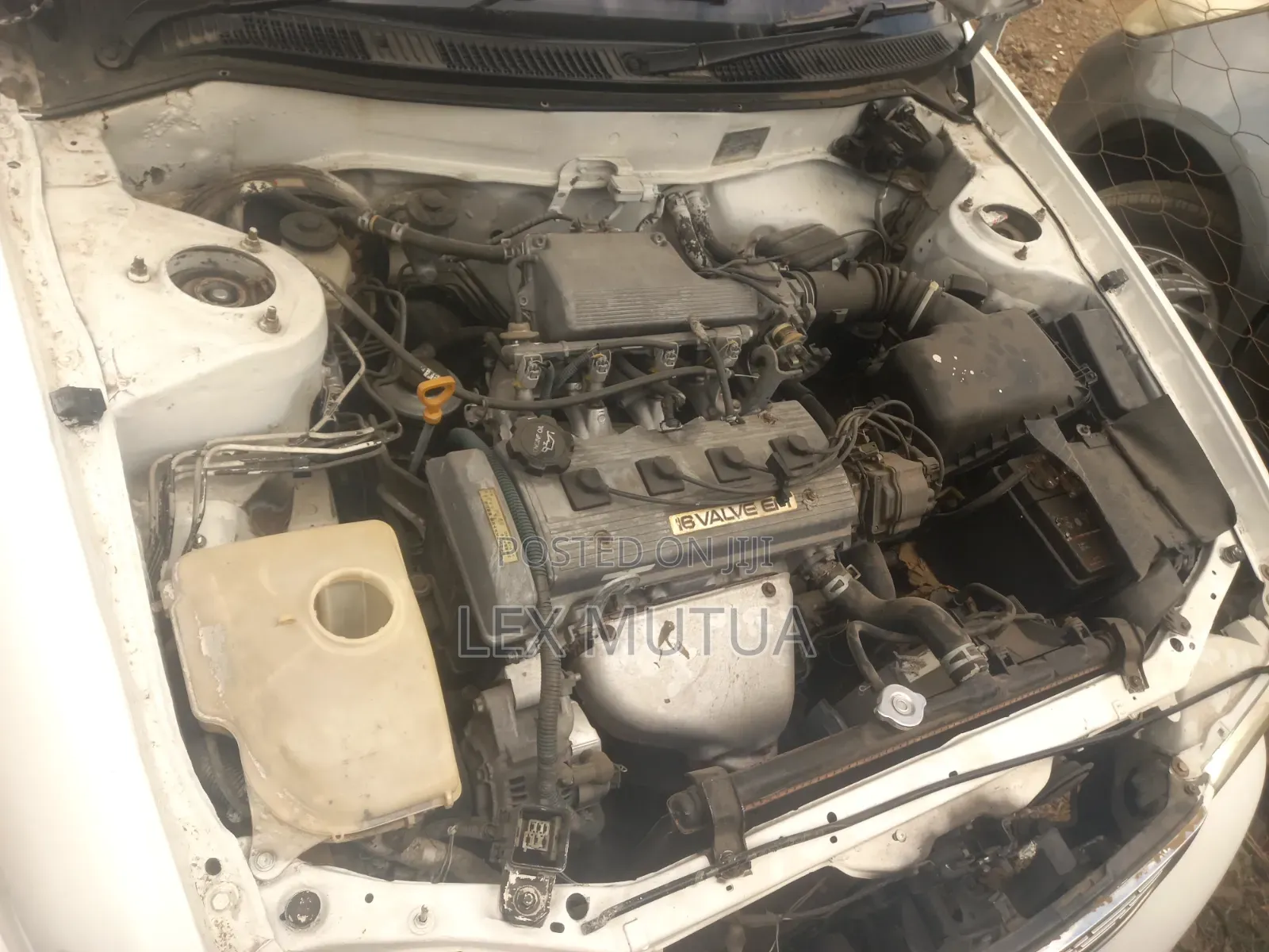 Toyota Corolla 1998 White
