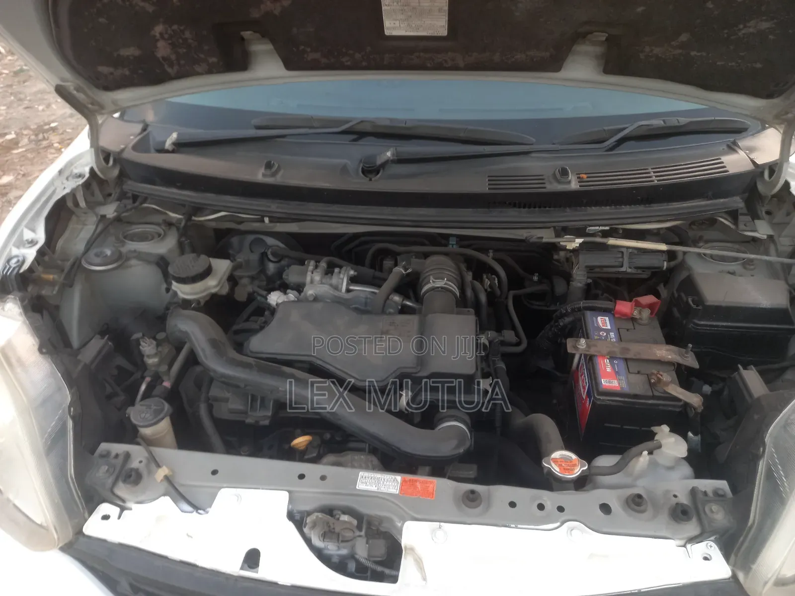 Toyota Passo 2016 White