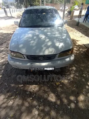 Toyota Corolla 1999 White