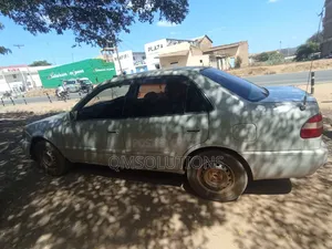 Toyota Corolla 1999 White