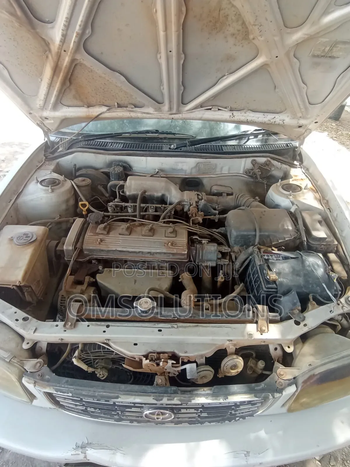 Toyota Corolla 1999 White