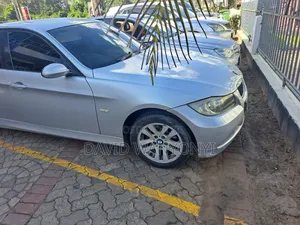 BMW 320i Sedan RWD 2007 Silver