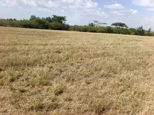 3 Acres for Sale in Kampi Ya Moto