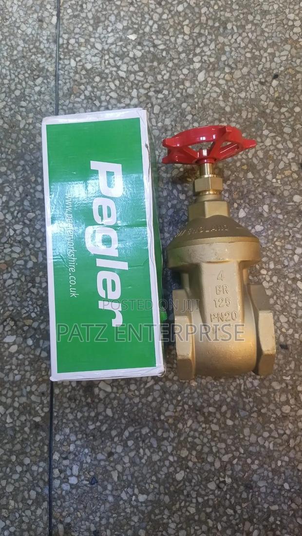 Genuine Pegler Bronze Heavy Duty 4 Inch Isolation Valve - main view