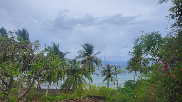 1/4 Acre Beach Plots Msambweni