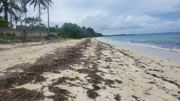 1/4 Acre Beach Plots Msambweni - thumbnail 2