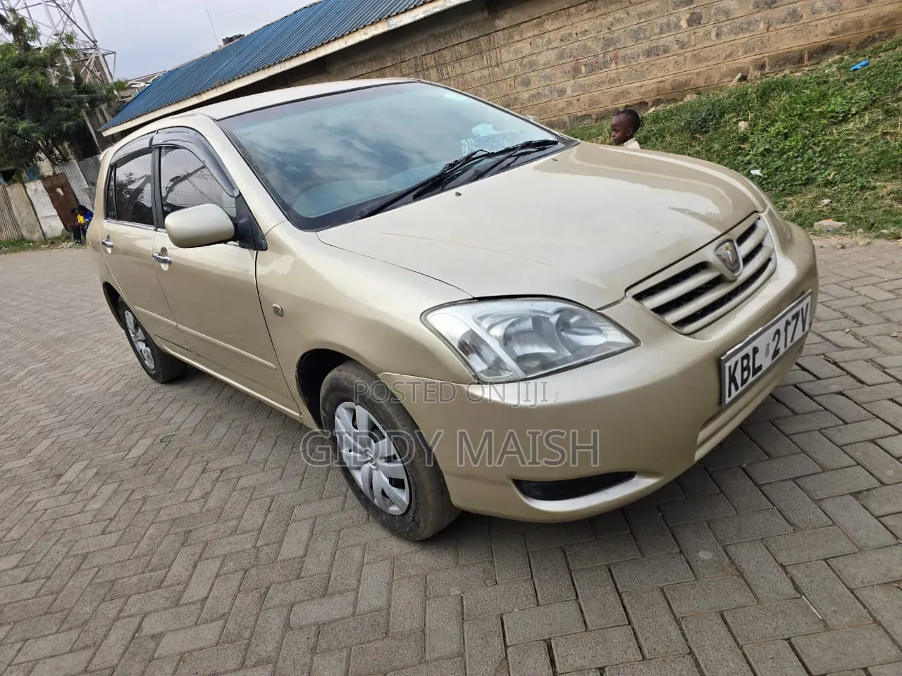 Toyota Corolla RunX 2006 Brown
