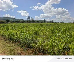 8 Acres for Sale in Moricho, Rongai.