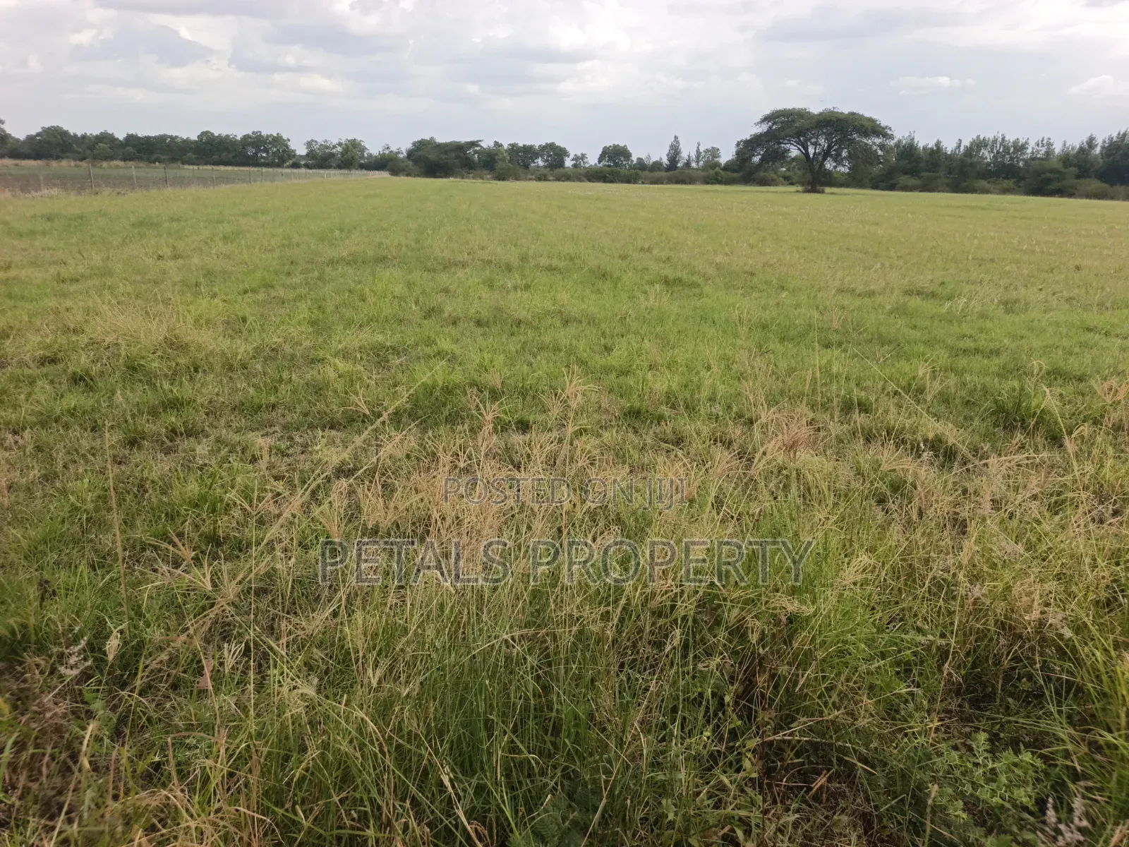 5 Acres for Sale in Kabarak