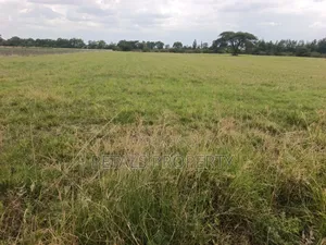 5 Acres for Sale in Kabarak