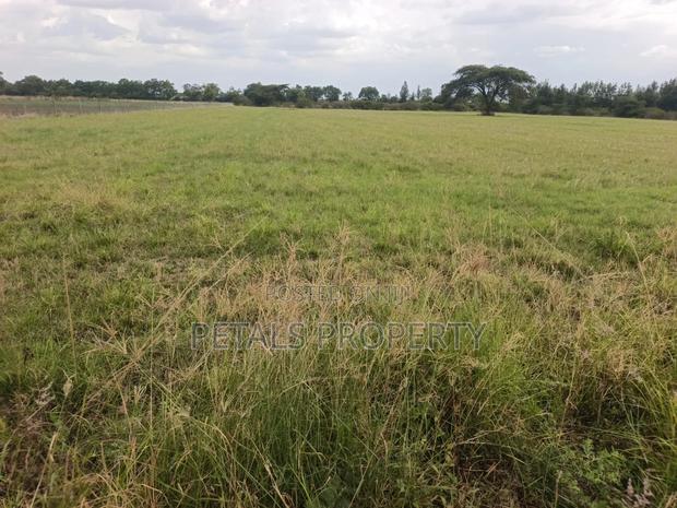 5 Acres for Sale in Kabarak