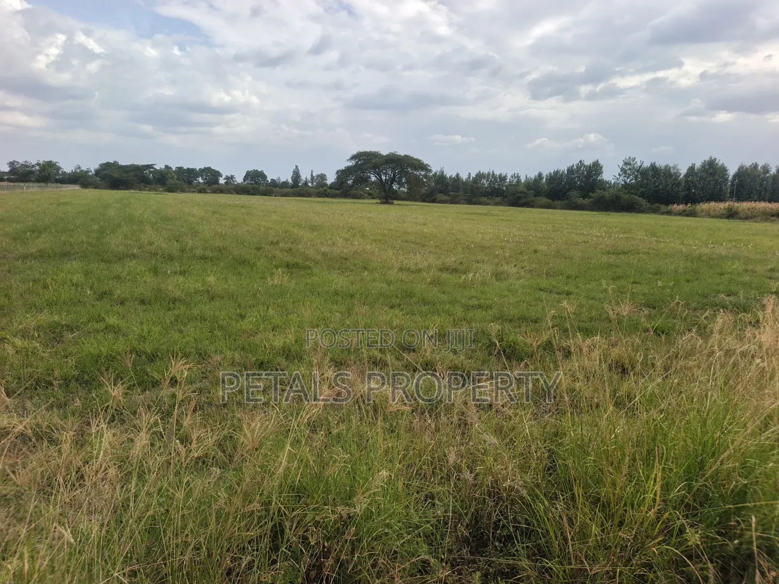 5 Acres for Sale in Kabarak