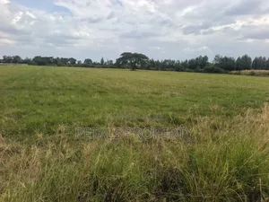 5 Acres for Sale in Kabarak