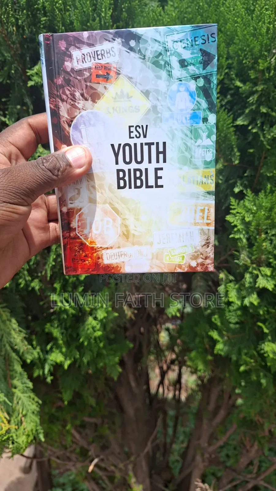 Esv Youth Bible