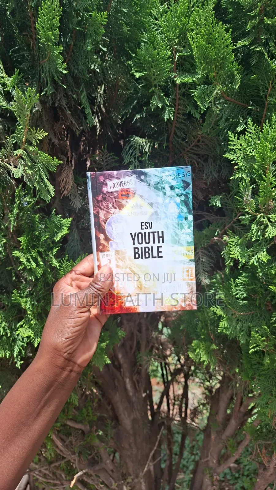 Esv Youth Bible