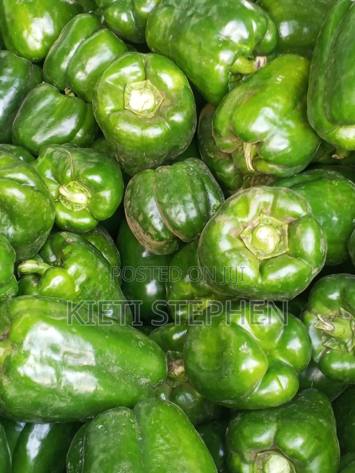 Green Capsicum