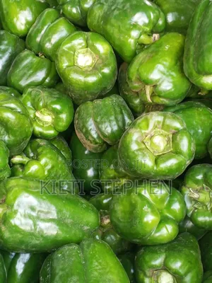 Green Capsicum