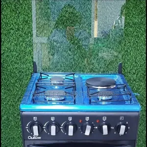 50*55 Olelon 3+1 Standing Cooker