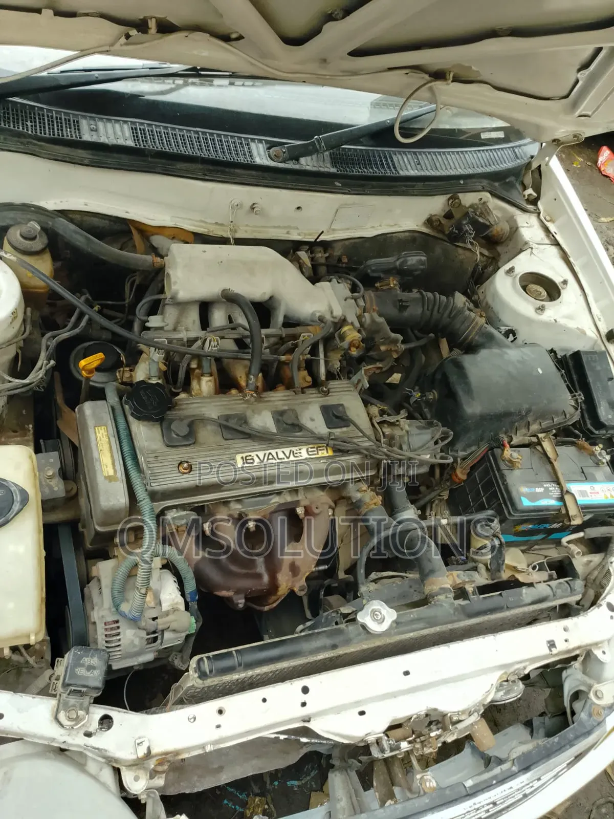 Toyota Corolla 1999 White