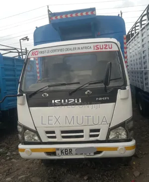 Isuzu Truck NKR 2010 White