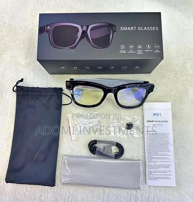 Ai-integrated Smart Glasses