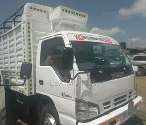 Isuzu NPR Lorry 2011 White
