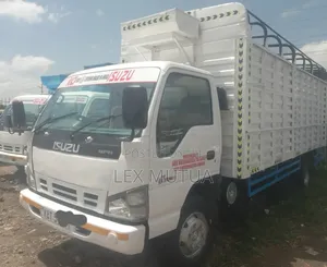 Isuzu NPR Lorry 2011 White