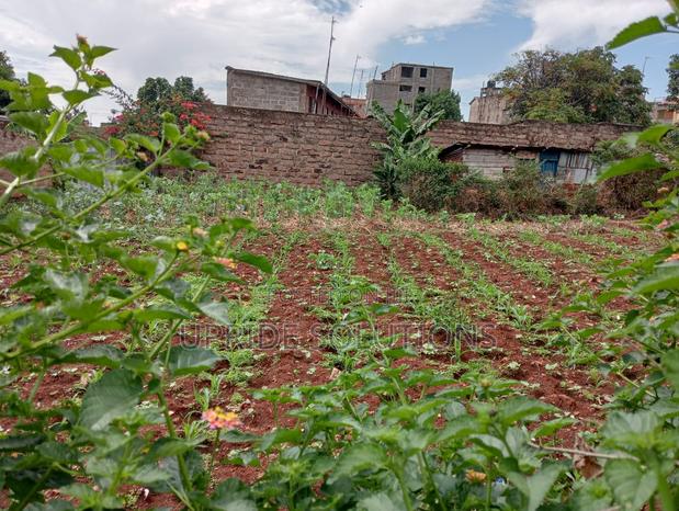 120 Feet by 130 Feet Plot at Githurai 44