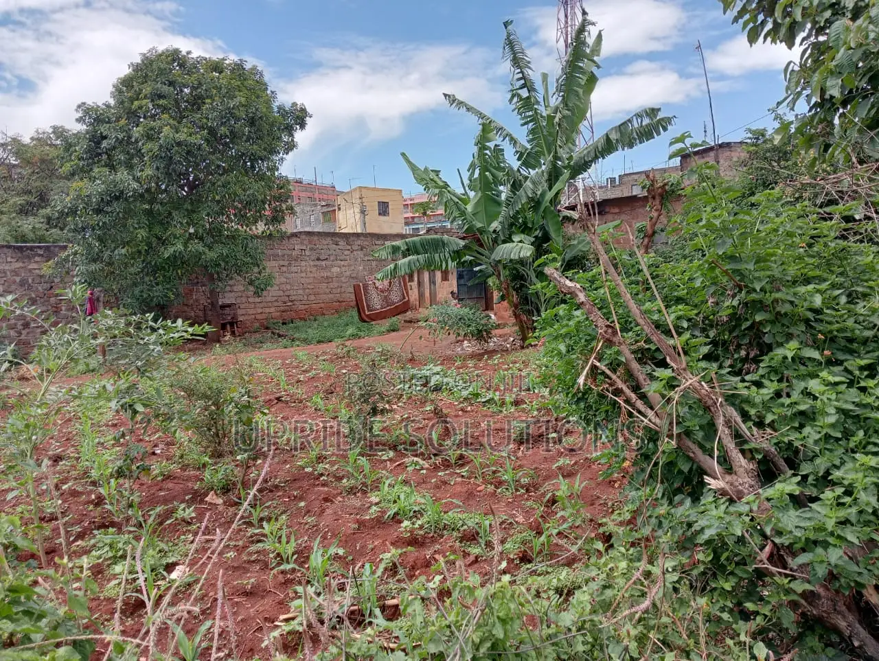 120 Feet By 130 Feet Plot At Githurai 44