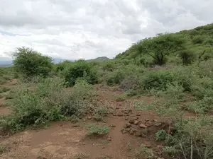 Ewuaso Kedong / Kesumetti Acres for Sale