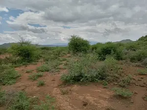 Ewuaso Kedong / Kesumetti Acres for Sale