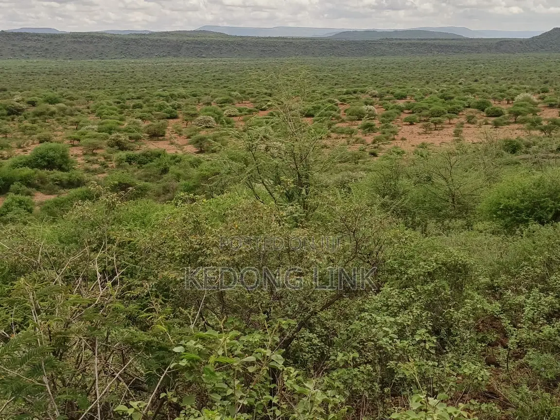 Ewuaso Kedong / Kesumetti Acres for Sale