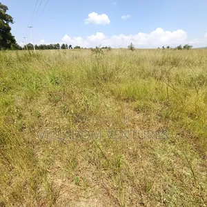 For Sale 32 Acres Near Greensteds School