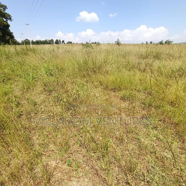 For Sale 32 Acres Near Greensteds School