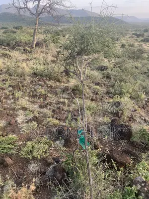 Nguirubi Thigio 5 Acres for Sale