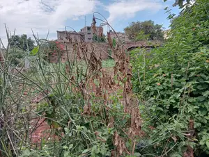 120 Feet By 130 Feet Plot At Githurai 44