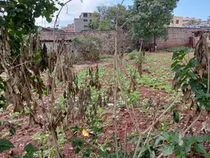 120 Feet By 130 Feet Plot At Githurai 44