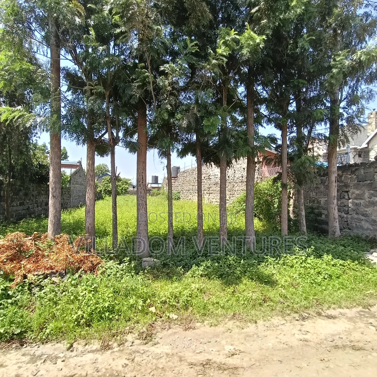 For Quick Sale Slightly Bigger Than a 50/100 Plot and Less Than a 1/4
