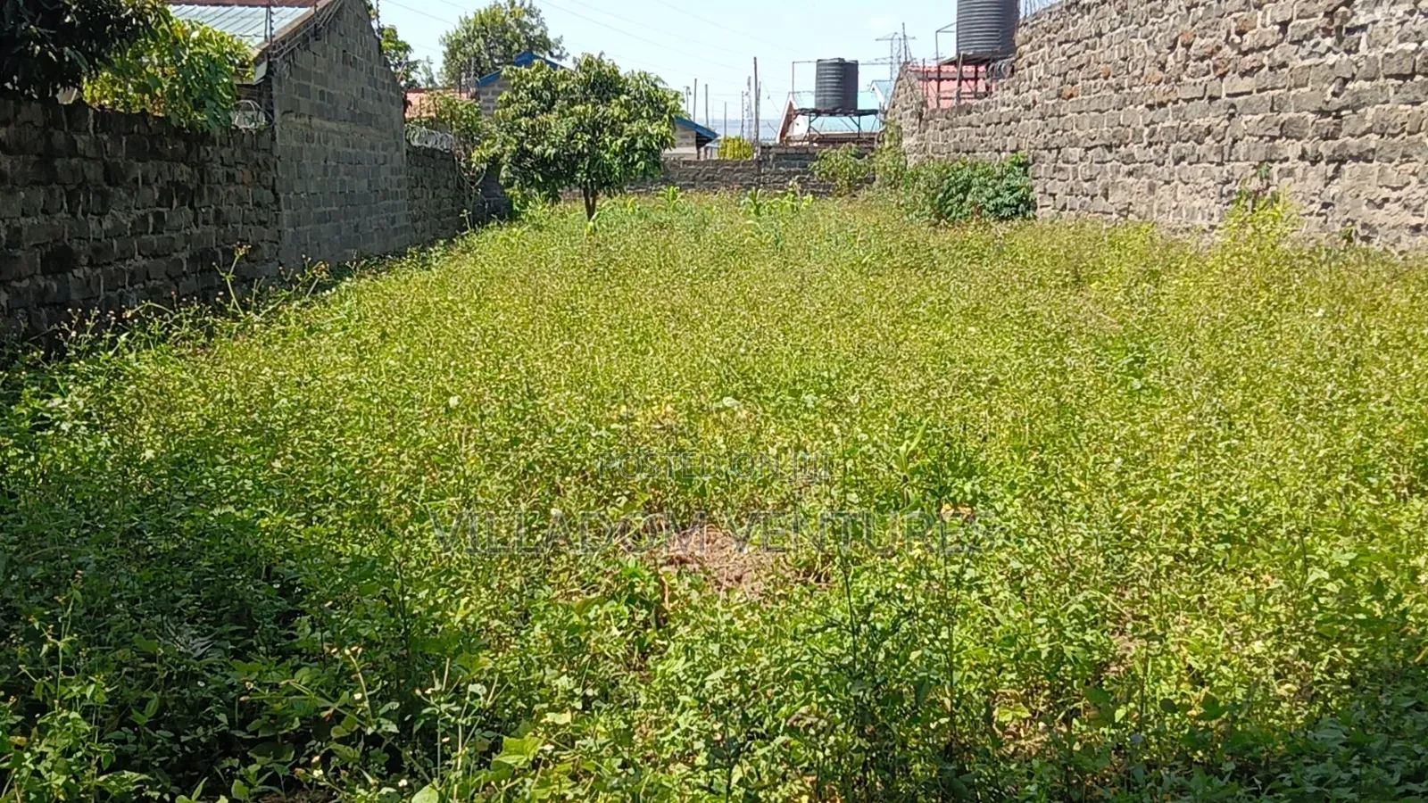 For Quick Sale Slightly Bigger Than a 50/100 Plot and Less Than a 1/4
