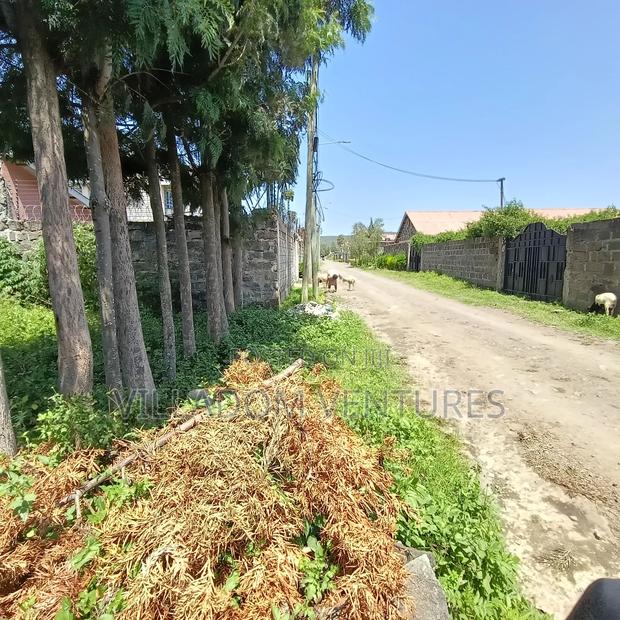 For Quick Sale Slightly Bigger Than a 50/100 Plot and Less Than a 1/4 - thumbnail 13