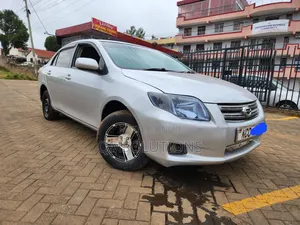 Toyota Axio 2008 Silver