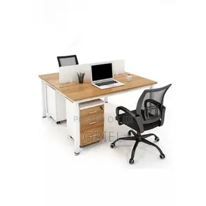 Office Workstation : Minimalist 2-Seater Shared Workstation