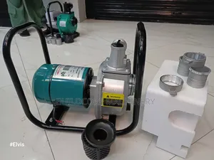 900watts 96v Premier 2inch Dc Brushless Water Pump