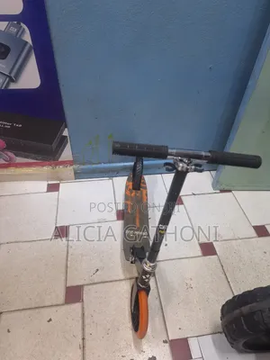 2 Wheels Adjustable Metallic Scooter