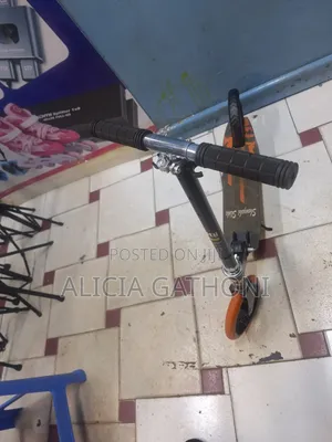 2 Wheels Adjustable Metallic Scooter